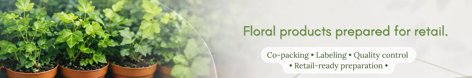 Green Star, szeroki banner z komunikatem Floral products prepared for retail